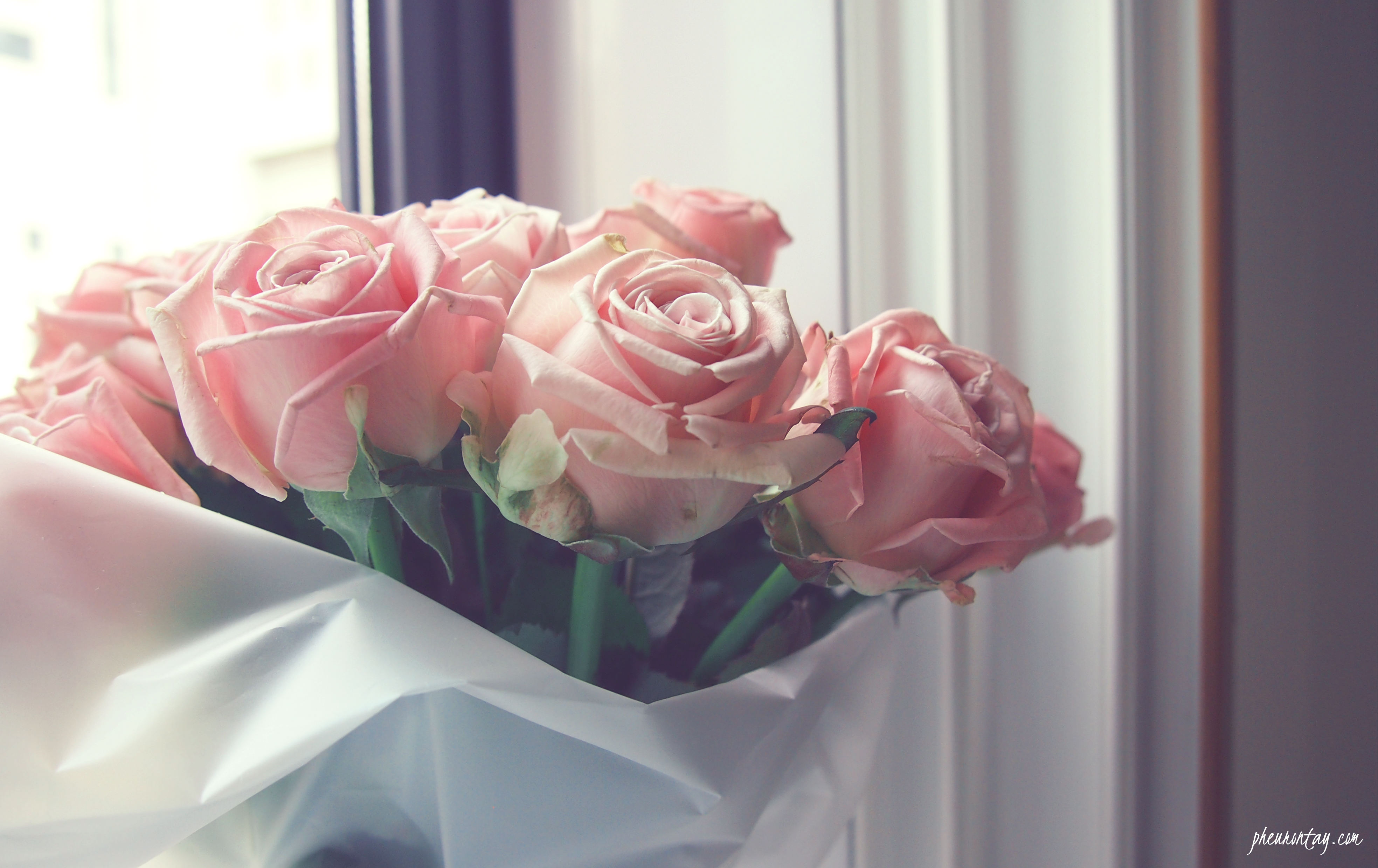 Rose Bouquet Tumblr